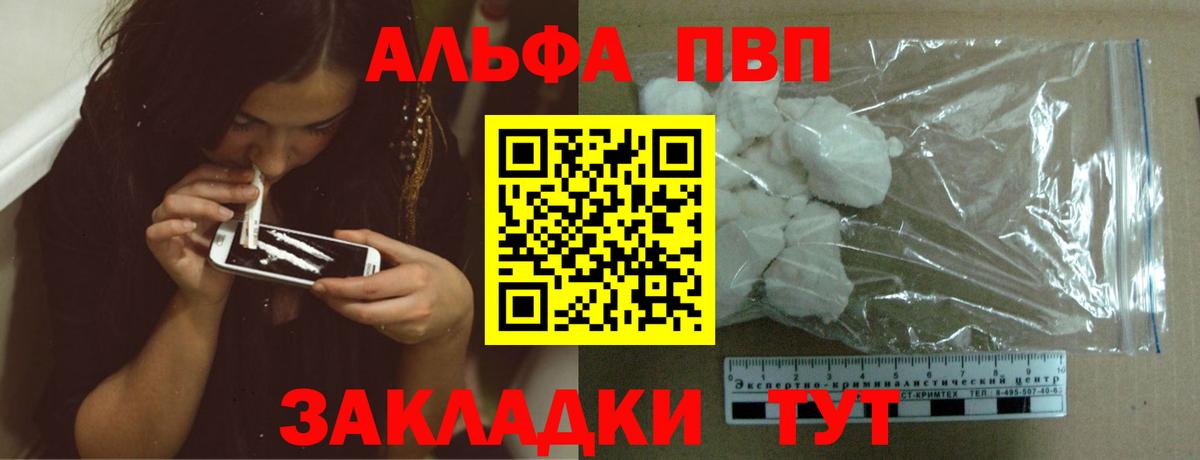 Alfa_PVP СК КРИС Бердск